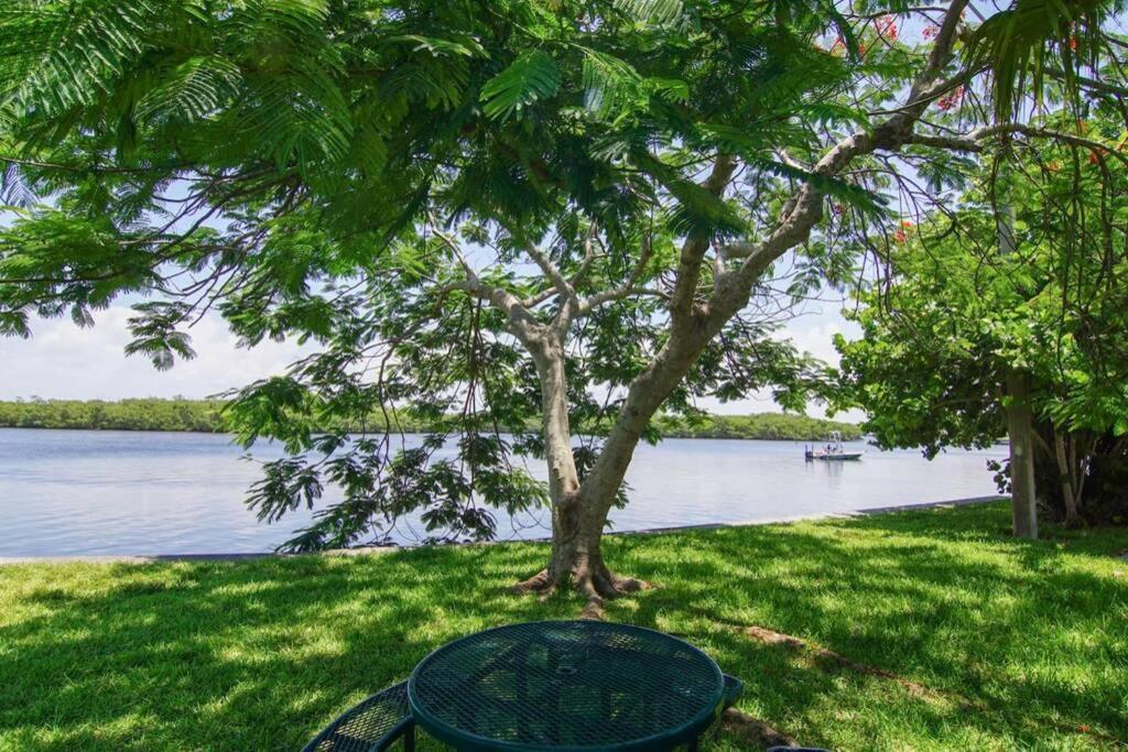 Riverview, Studio 507, Beach Steps Away!+Pool+Wifi Ruskin Exteriér fotografie